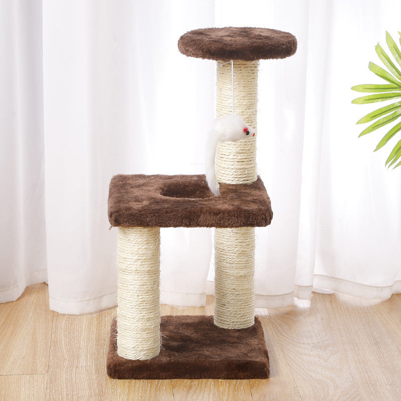 Fun Cat Climbing Tree – Scratch, Jump, Play Every Day